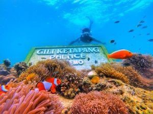 Mount Bromo Madakaripura Waterfall