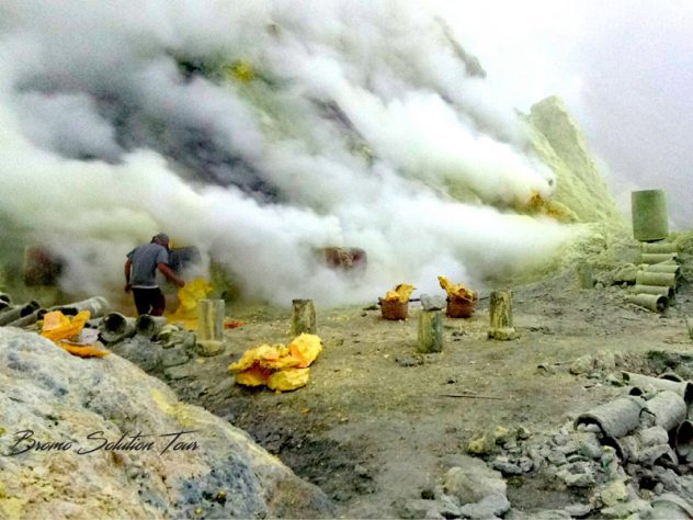 Info Percutian Surabaya Gunung Bromo Ijen Info Percutian Surabaya Gunung Bromo Ijen