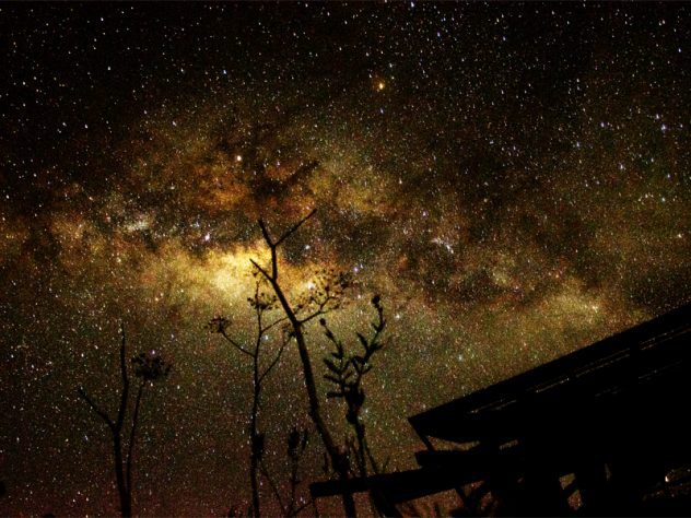 Package Mount bromo Little Stars Tour