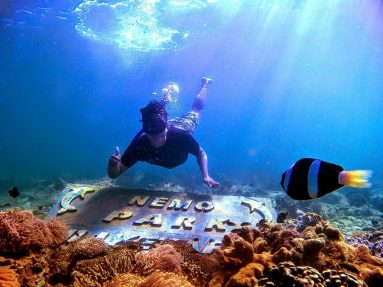 Mount Bromo Snorkeling Tour Packages