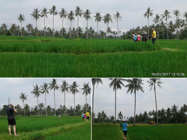 Mt Bromo Ijen Kalibaru Garden Tour