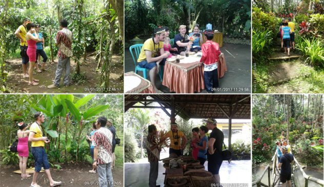 Mt Bromo Ijen Kalibaru Garden Tour Package