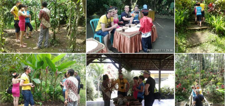 Mt Bromo Ijen Kalibaru Garden Tour Package