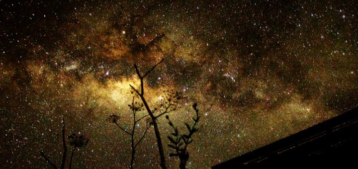 Package Mount bromo Little Stars Tour